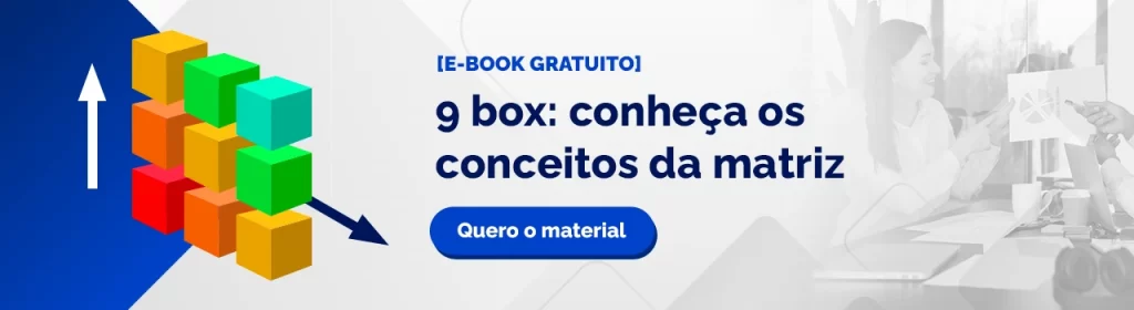 desempenho e potencial no 9 box